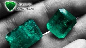 Lee más sobre el artículo Como reconocer una esmeralda Colombiana, aprende todo sobre este gran negocio