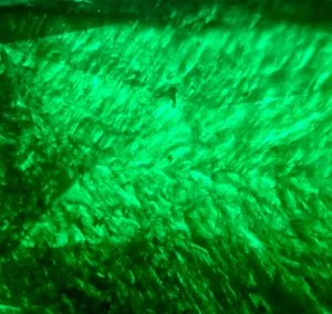 Lee más sobre el artículo Gota de Aceite en la Esmeralda