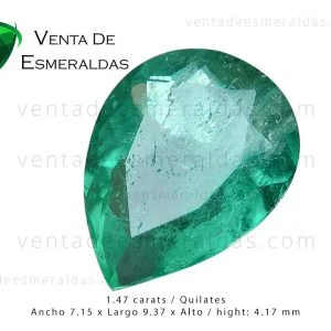 esmeralda-colombiana–talla-lagrima-de-muzo-colombian-emeralds-5 esmeralda colombiana talla lagrima de 1.47 quilates colombian emeralds