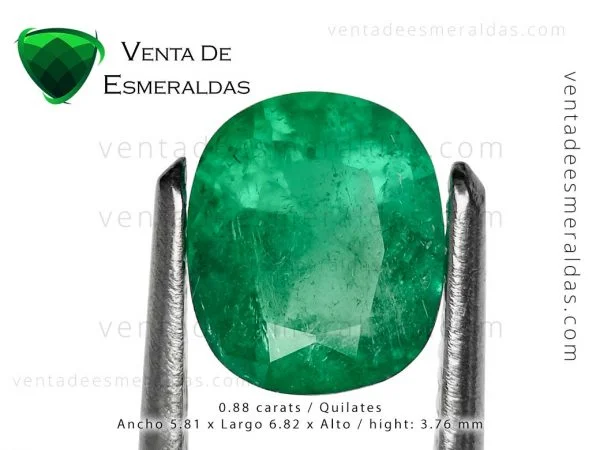 esmeralda talla cushion de 0.88 quilates colombian emerald from muzo colombian