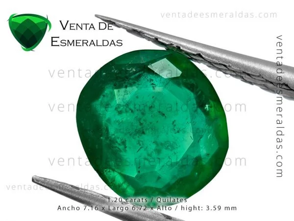esmeralda talla cushion de muzo colombian emerald from Muzo colombia