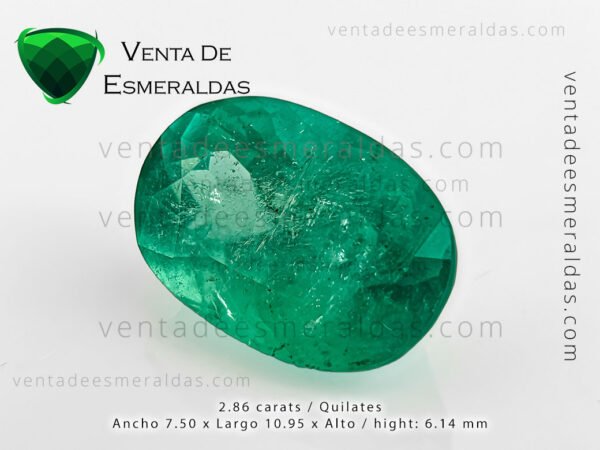 esmeralda talla ovalo de la mina de muzo colombia