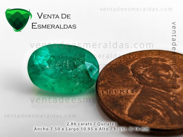 esmeralda talla ovalo de la mina de muzo colombia