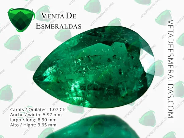 esmeralda colombiana de la mina de Muzo Colombia, gota de aceite