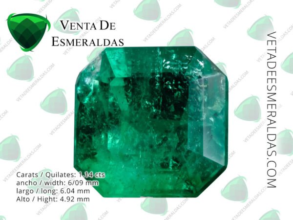 colombian emerald from muzo esmeralda colombiana de la mina de muzo colombia