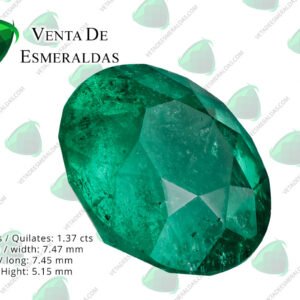 Esmeralda colombiana de Muzo talla redonda de 1.37 quilates Calidad AA+