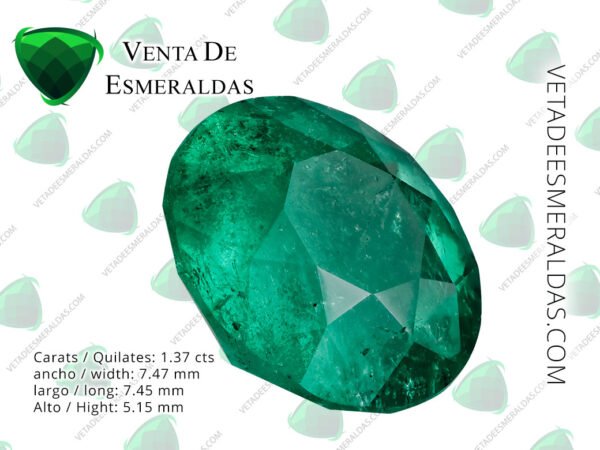 esmeralda colombiana talla redonda de la mina Muzo