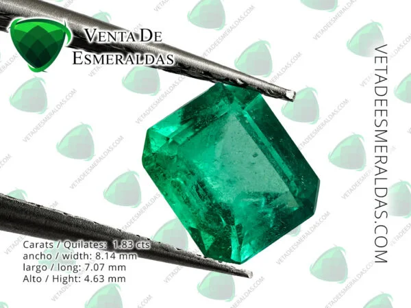 esmeralda colombiana de la mina de muzo colombian emerald quality AA+