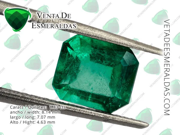 esmeralda colombiana de la mina de muzo colombian emerald quality AA+