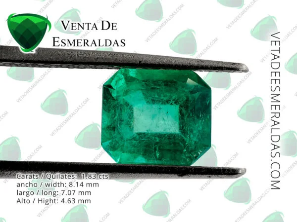 esmeralda colombiana de la mina de muzo colombian emerald quality AA+